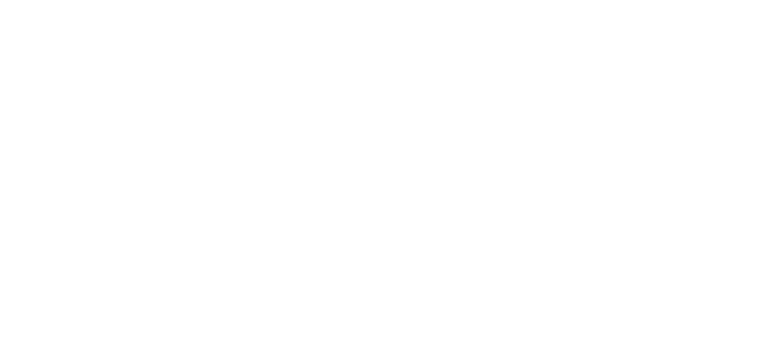 needlestack logo